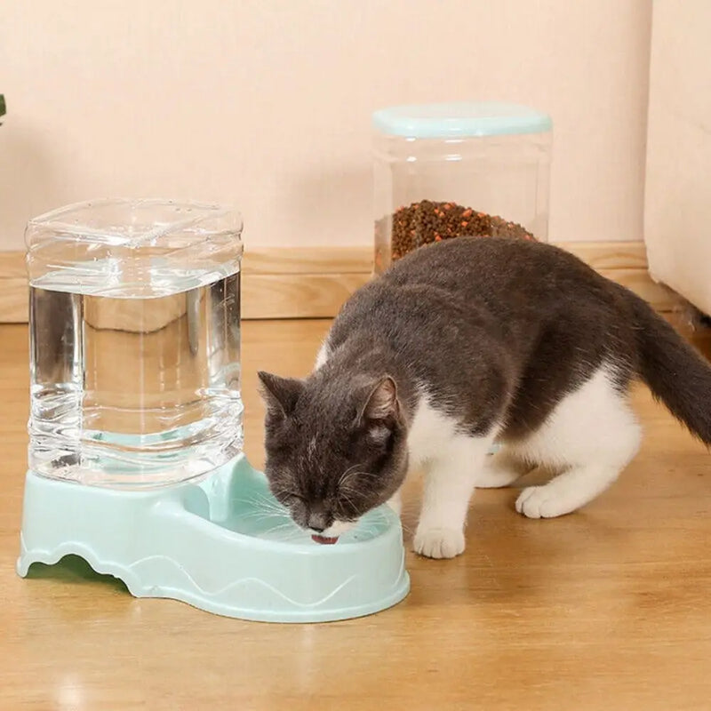 Alimentador automático para cães e gatos