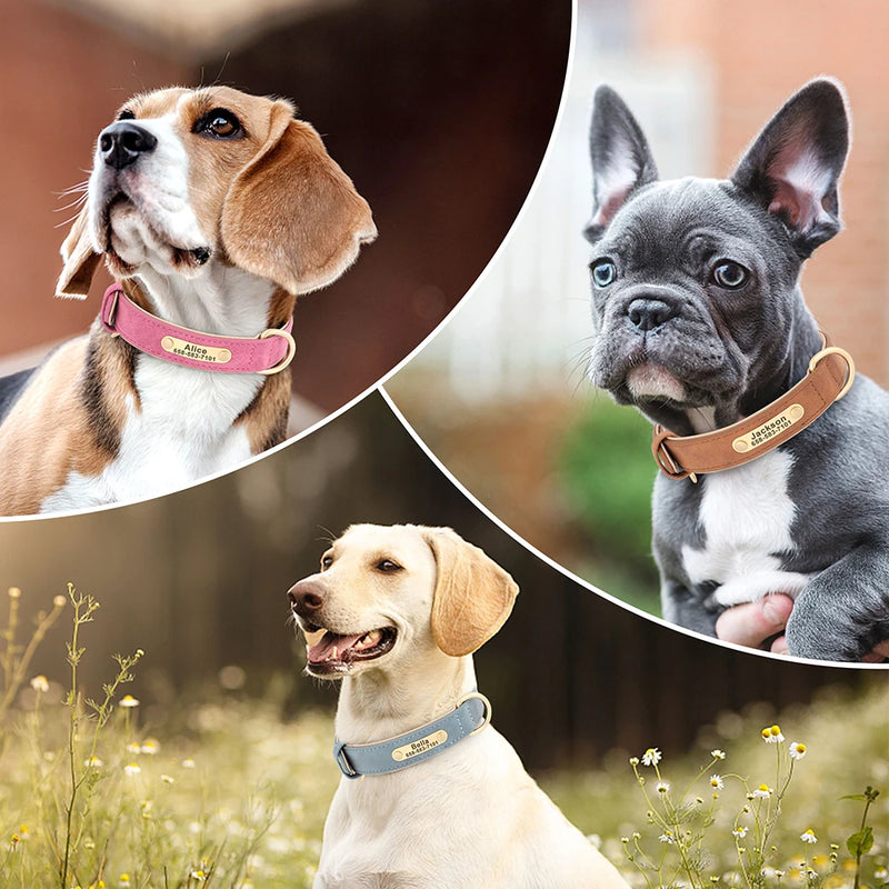 Coleira Personalizada para cães